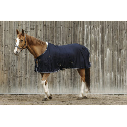 Camisa EQUITHEME Micro Mesh