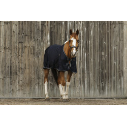 Camisa EQUITHEME Micro Mesh Camisa EQUITHEME Micro Mesh