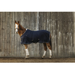 Camisa EQUITHEME Micro Mesh Camisa EQUITHEME Micro Mesh