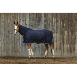 Camisa Equithème Micro mesh combo Camisa Equithème Micro mesh combo