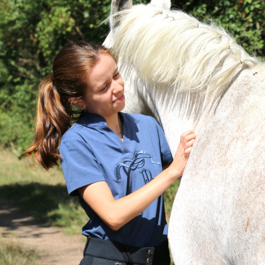 Azúl / gris Azúl / gris