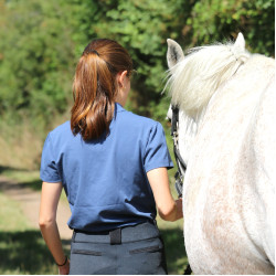 Azúl / gris Azúl / gris