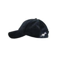 new Negro new Negro