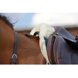 Amortiguador de oveja Absorb Kentucky Marino Azul marino Amortiguador de oveja Absorb Kentucky Marino Azul marino