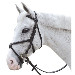 Brida cruzada con pespuntes Canter