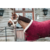 new Burdeos new Burdeos