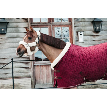 new Burdeos new Burdeos