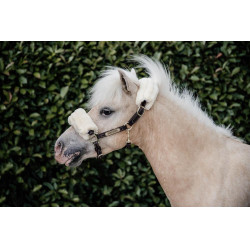 Cabezada de cordero de cuero Kentucky Castaño Marrón Cabezada de cordero de cuero Kentucky Castaño Marrón