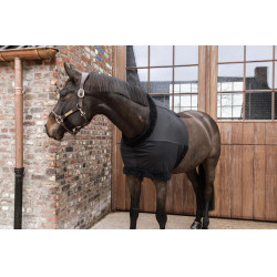 Protector de Pecho Kentucky