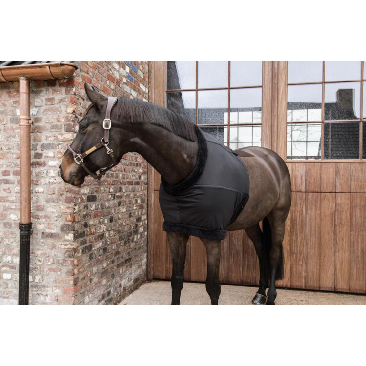 Protector de Pecho Kentucky