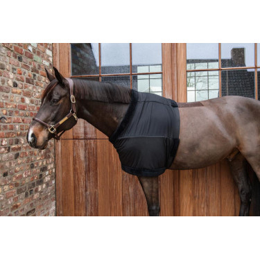Protector de Pecho Kentucky Protector de Pecho Kentucky