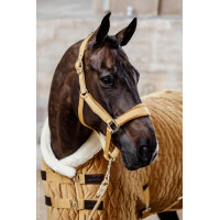 Cubierta de presentación Velvet Kentucky Mostaza Amarillo