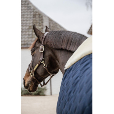 Manta de Cuadra Comfort Kentucky Manta de Cuadra Comfort Kentucky