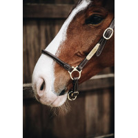 Cabezada de cepillado de cuero Kentucky Castaño Marrón