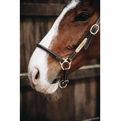 Cabezada de cepillado de cuero Kentucky Castaño Marrón