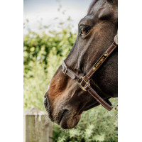 Cabezada Flexible Kentucky Castaño Marrón Cabezada Flexible Kentucky Castaño Marrón