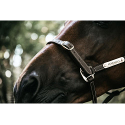 Cabezada Flexible Kentucky Castaño Marrón Cabezada Flexible Kentucky Castaño Marrón