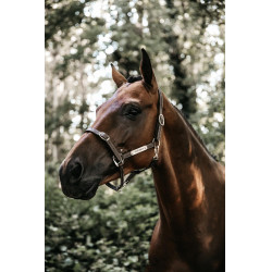 Cabezada Flexible Kentucky Castaño Marrón Cabezada Flexible Kentucky Castaño Marrón