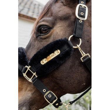 Cabezada de nailon con borreguillo Soft Kentucky Cabezada de nailon con borreguillo Soft Kentucky