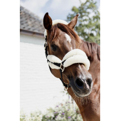 Cabezada de nailon con borreguillo Soft Kentucky Cabezada de nailon con borreguillo Soft Kentucky