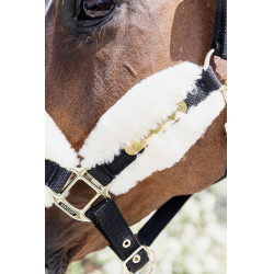 Cabezada de nailon con borreguillo Soft Kentucky Cabezada de nailon con borreguillo Soft Kentucky