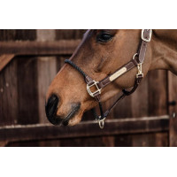 Cabezada de cuerda de cuero Kentucky Castaño Marrón