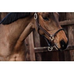 Cabezada de cuerda de cuero Kentucky Castaño Marrón Cabezada de cuerda de cuero Kentucky Castaño Marrón