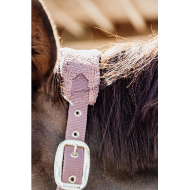 Cabezada Teddy Fleece Kentucky Cabezada Teddy Fleece Kentucky