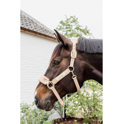 Cabezada Teddy Fleece Kentucky