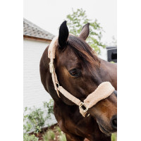 Cabezada Teddy Fleece Kentucky Rosa viejo