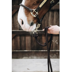 Longe Loop Básico Kentucky Castaño Marrón