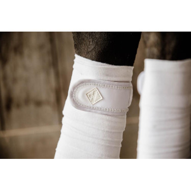 Vendas de polo Polar Fleece Pearls Kentucky Vendas de polo Polar Fleece Pearls Kentucky