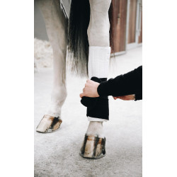 new Blanco new Blanco