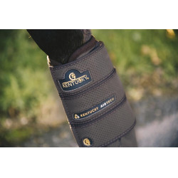 Guarniciones Air Tech Eventing anteriores Kentucky Castaño Marrón Guarniciones Air Tech Eventing anteriores Kentucky Castaño Marrón