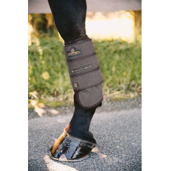 Guarniciones Air Tech Eventing anteriores Kentucky Castaño Marrón Guarniciones Air Tech Eventing anteriores Kentucky Castaño Marrón