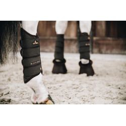 Guarniciones Air Tech Eventing posteriores Kentucky Castaño Marrón Guarniciones Air Tech Eventing posteriores Kentucky Castaño Marrón