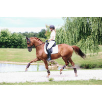 Guarniciones delanteras cerradas de cuero Kentucky Castaño Marrón