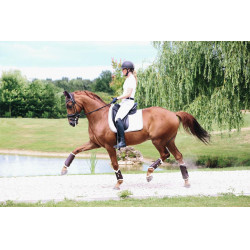 Guarniciones delanteras cerradas de cuero Kentucky Castaño Marrón