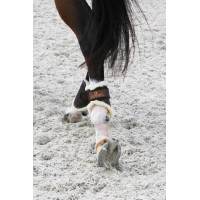 Guarniciones cerradas de cuero posteriores cortas Kentucky Castaño Marrón