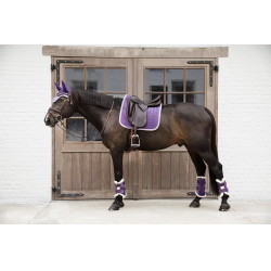 Guarniciones cerradas Velvet Contrast Kentucky Malva real Violeta