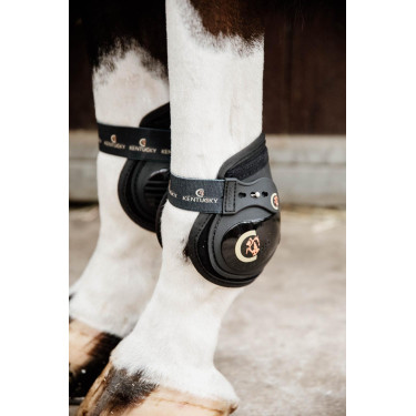 Protectores de menudillo elásticos Moonboots Kentucky Protectores de menudillo elásticos Moonboots Kentucky
