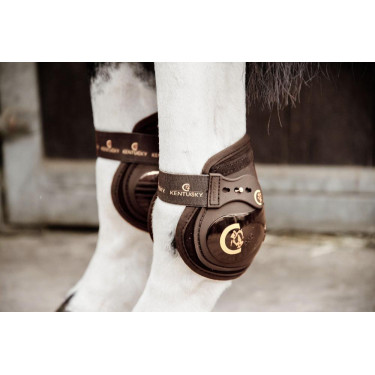 Protectores de menudillo elásticos Moonboots Kentucky Castaño Marrón