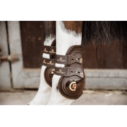 Protectores de menudillo Moonboots Max elásticos Kentucky Castaño Marrón