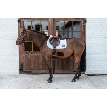 new Blanco new Blanco