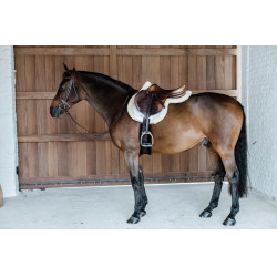 new Blanco new Blanco