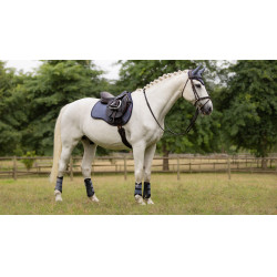 Mantilla LeMieux ProSport Suede GP Square Arrendajo azul