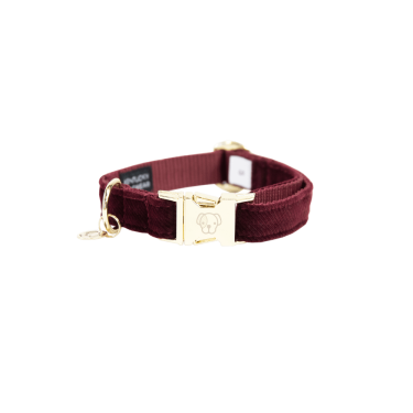 Collar para perro de pana Kentucky Collar para perro de pana Kentucky