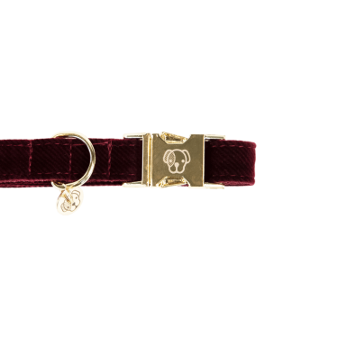 Collar para perro de pana Kentucky Collar para perro de pana Kentucky