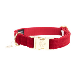 Collar para perro de pana Kentucky Roja Rojo