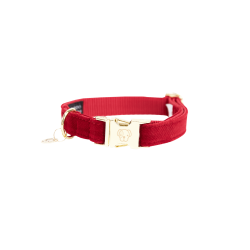 Collar para perro de pana Kentucky Roja Rojo